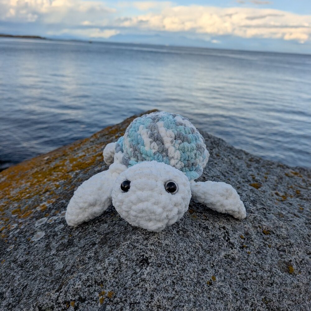 Soft cuddly Turtle